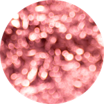 alimenta sua microbiota
